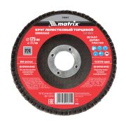  MTX P25 125 x 22.2mm Lamells trcsa