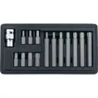 STELS 1/2" CrV bitkészlet, 15 részes – TORX, kofferben